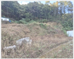  2024Ÿ��61601 ��� û�ֽ� ��籸 �̿��� ��� 165-4     ����(����)���