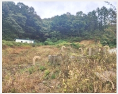  2024Ÿ��61601 ��� û�ֽ� ��籸 �̿��� ��� 165-4     ����(����)���