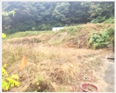  2024Ÿ��61601 ��� û�ֽ� ��籸 �̿��� ��� 165-4     ����(����)���