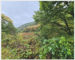  2024Ÿ61717  ûֽ 籸 ̿  45     ()