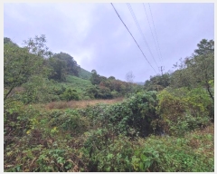  2024Ÿ61717  ûֽ 籸 ̿  45     ()