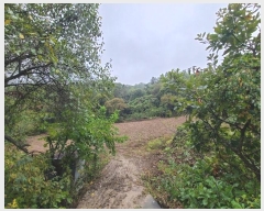  2024Ÿ61717  ûֽ 籸 ̿  45     ()