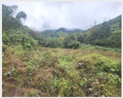  2024Ÿ61717  ûֽ 籸 ̿  45     ()