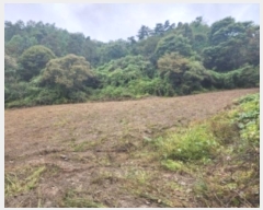  2024Ÿ61717  ûֽ 籸 ̿  45     ()