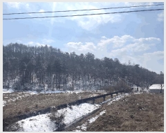  2024Ÿ64105  ûֽ 籸 ̿ ̸ 39-36     (Ӿ)