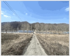  2024Ÿ64105  ûֽ 籸 ̿ ̸ 39-36     (Ӿ)