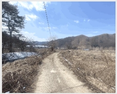  2024Ÿ64105  ûֽ 籸 ̿ ̸ 39-36     (Ӿ)