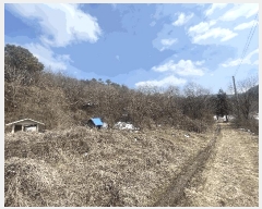  2024Ÿ64105  ûֽ 籸 ̿ ̸ 39-36     (Ӿ)