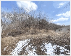  2024Ÿ64105  ûֽ 籸 ̿ ̸ 39-36     (Ӿ)