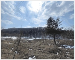  2024Ÿ64105  ûֽ 籸 ̿ ̸ 39-36     (Ӿ)