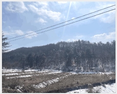  2024Ÿ64105  ûֽ 籸 ̿ ̸ 39-36     (Ӿ)