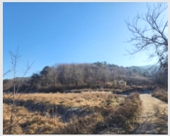  2024Ÿ64105  ûֽ 籸 ̿ ̸ 39-36     (Ӿ)