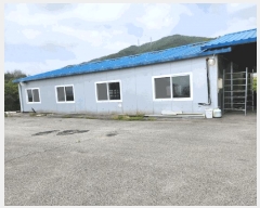  2024Ÿ��1091 ��� ���ֽ� �ִ��� ���ø� 392      ����,â�����