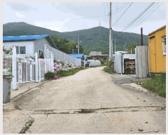  2024Ÿ��1091 ��� ���ֽ� �ִ��� ���ø� 392      ����,â�����