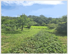  2024Ÿ��2537  �����