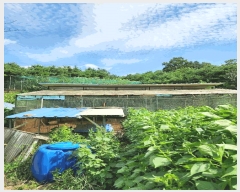  2024Ÿ��2537  �����