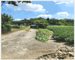  2024Ÿ��2537  �����