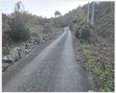  2024Ÿ��2926  ���ð��