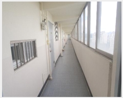  2024Ÿ2971  ֽ ݸ 46, 101 141412ȣ (ĥݵ,οƮ)    Ʈ