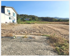  2024Ÿ3264  ֽ ִ  119-23      ,繫ǰ