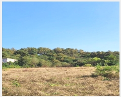  2024Ÿ3264  ֽ ִ  119-23      ,繫ǰ