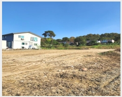  2024Ÿ3264  ֽ ִ  119-23      ,繫ǰ