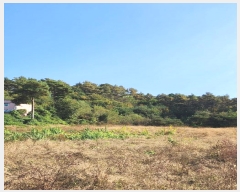  2024Ÿ3264  ֽ ִ  119-23      ,繫ǰ