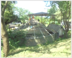  2024Ÿ��33692 ��� ���ֽ� �߾�ž�� â���� 287-1      ���ð��