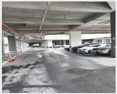  2024Ÿ34589  ֽ 2 11, 102 333303ȣ (,ּƮǪ)    Ʈ