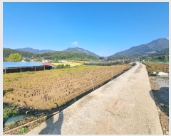  2024Ÿ��35131 ��� ���ֽ� ������ ���Ÿ� 335-3      ����(��1)���