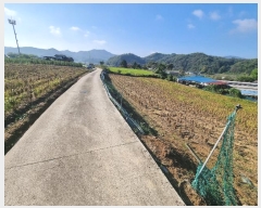  2024Ÿ��35131 ��� ���ֽ� ������ ���Ÿ� 335-3      ����(��1)���