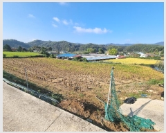  2024Ÿ��35131 ��� ���ֽ� ������ ���Ÿ� 335-3      ����(��1)���