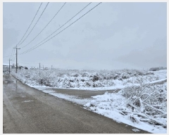  2024Ÿ��35773 ��� ���ֽ� �ִ��� â���� 417      ����(��1)���