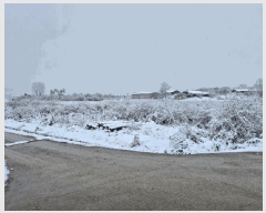  2024Ÿ��35773 ��� ���ֽ� �ִ��� â���� 417      ����(��1)���