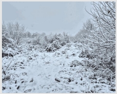  2024Ÿ��35773 ��� ���ֽ� �ִ��� â���� 417      ����(��1)���