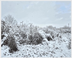  2024Ÿ��35773 ��� ���ֽ� �ִ��� â���� 417      ����(��1)���