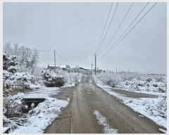  2024Ÿ��35773 ��� ���ֽ� �ִ��� â���� 417      ����(��1)���