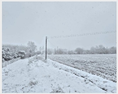  2024Ÿ��35773 ��� ���ֽ� �ִ��� â���� 417      ����(��1)���