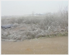  2024Ÿ��35773 ��� ���ֽ� �ִ��� â���� 417      ����(��1)���