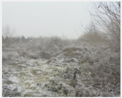  2024Ÿ��35773 ��� ���ֽ� �ִ��� â���� 417      ����(��1)���