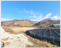  2024Ÿ35797    õ 138      ()