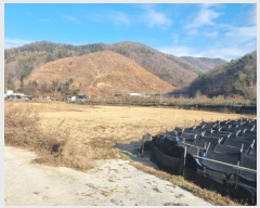  2024Ÿ35797    õ 138      ()