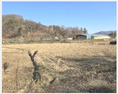  2024Ÿ35797    õ 138      ()