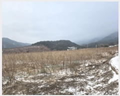  2024Ÿ��36295 ��� ���ֽ� ��ô�� �۰��� 50-1      ����(��1)���