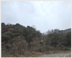  2024Ÿ��36325 ��� ���ֽ� ��ҿ��� ��Ҹ� 72-13      ������