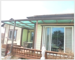  2024Ÿ��982  ���ð��