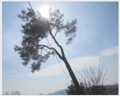  2024Ÿ��982  ���ð��