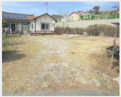  2024Ÿ��982  ���ð��