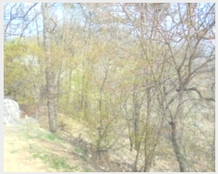  2024Ÿ��982  ���ð��