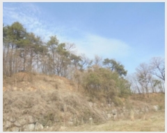  2024Ÿ��982  ���ð��